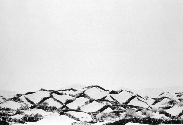 Desert Control, BW 2
